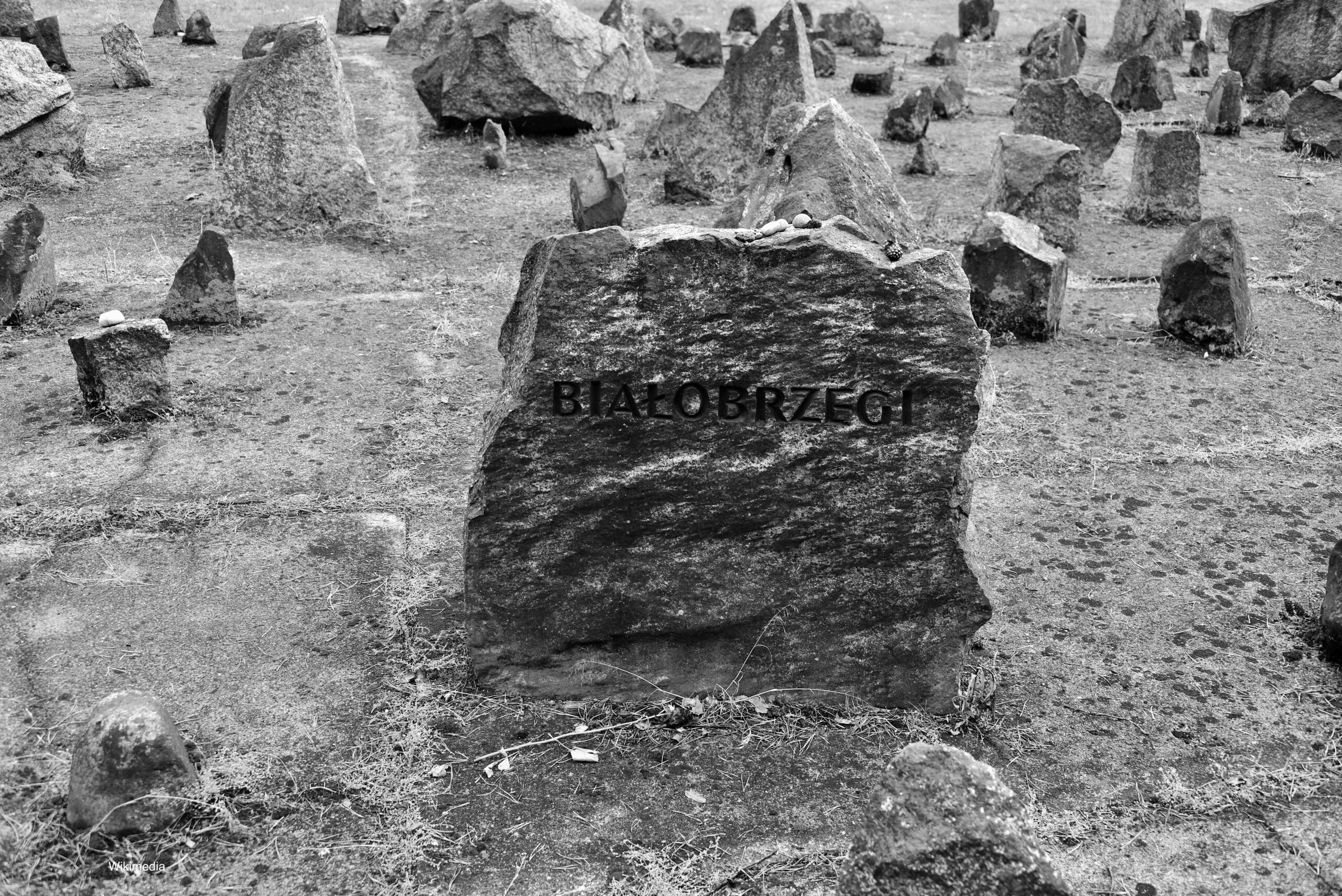 Photograph of the Memorial at former Treblinka extermination camp.