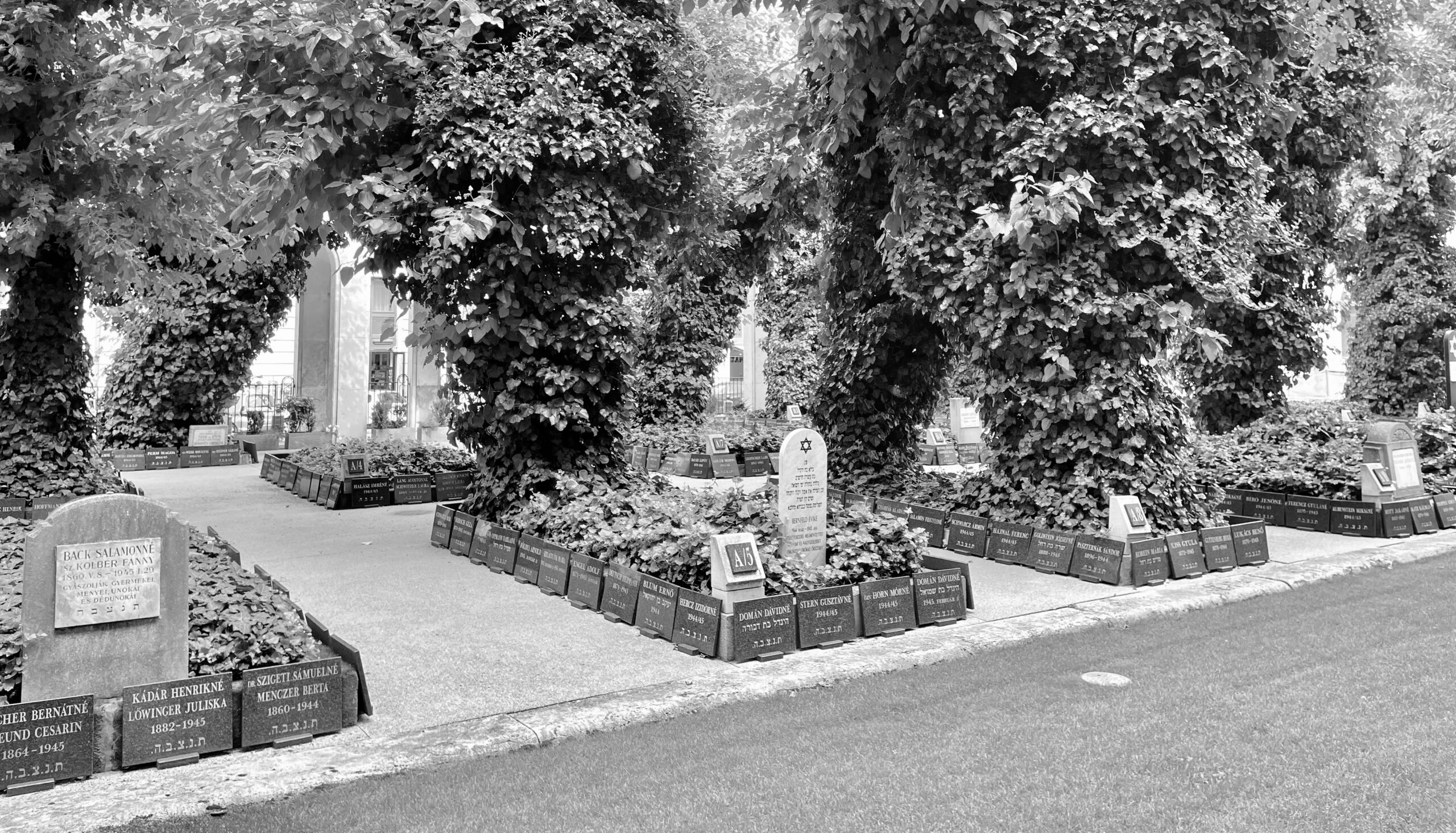 Photographs of the graves of Jews who died in the Budapest Ghetto in the Dohány Synagogue in Budapest, Hungary.