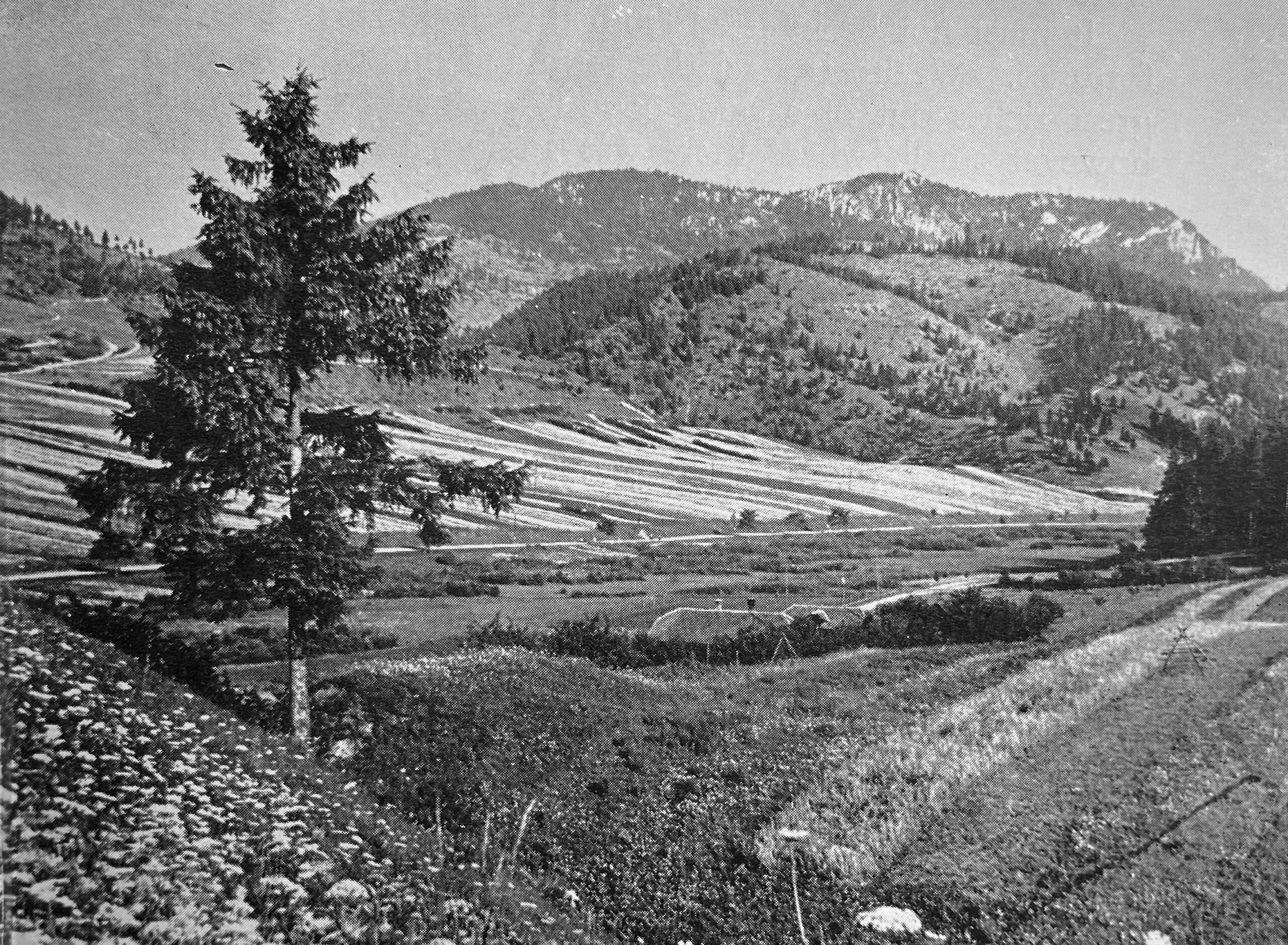 Photograph of the Carpathian Mountains in the 1930s.
