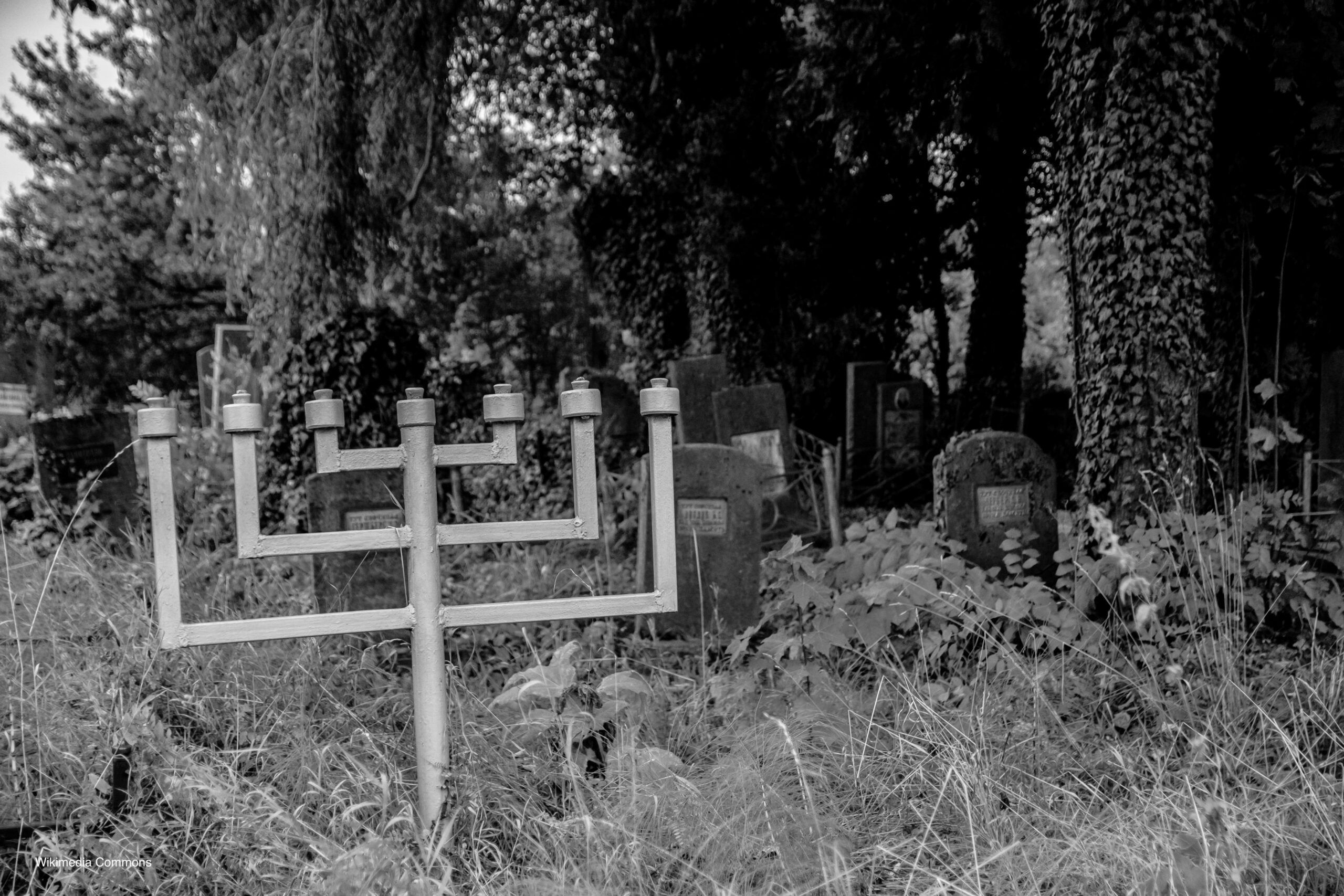 Photograph of Borysłav Jewish Cemetery.
