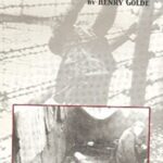 Ragdolls Henry Golde