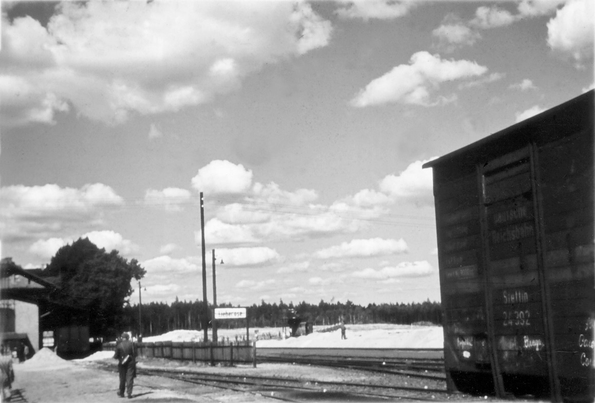 Photograph of the Lieberose camp during the Nazi era.