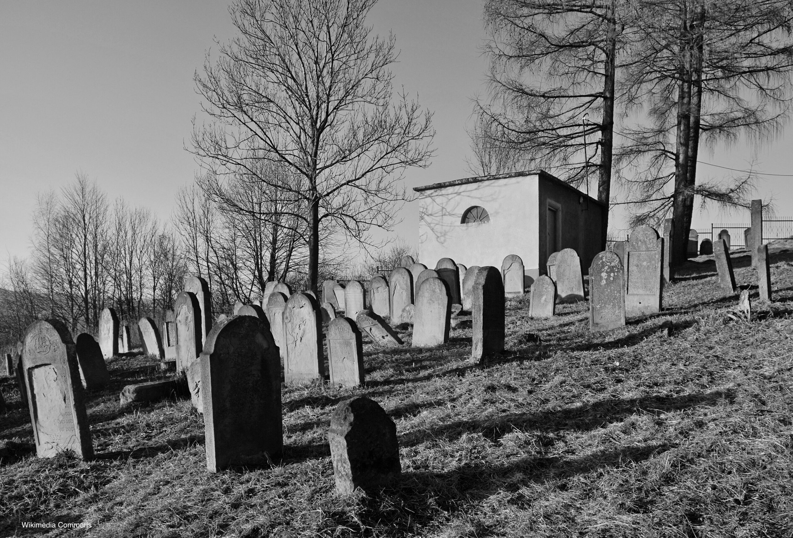Photograph of Bobowa Jewish cemetery.