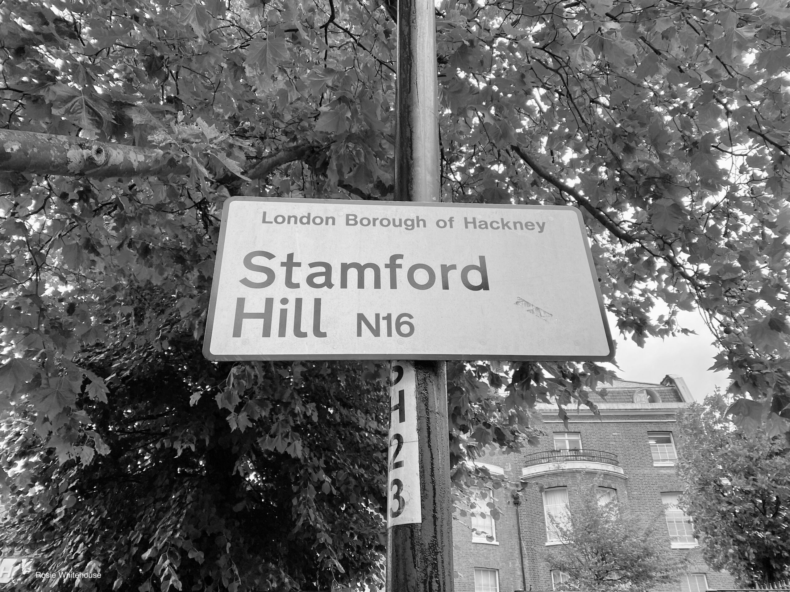 Photograph of Stamford Hill, London.