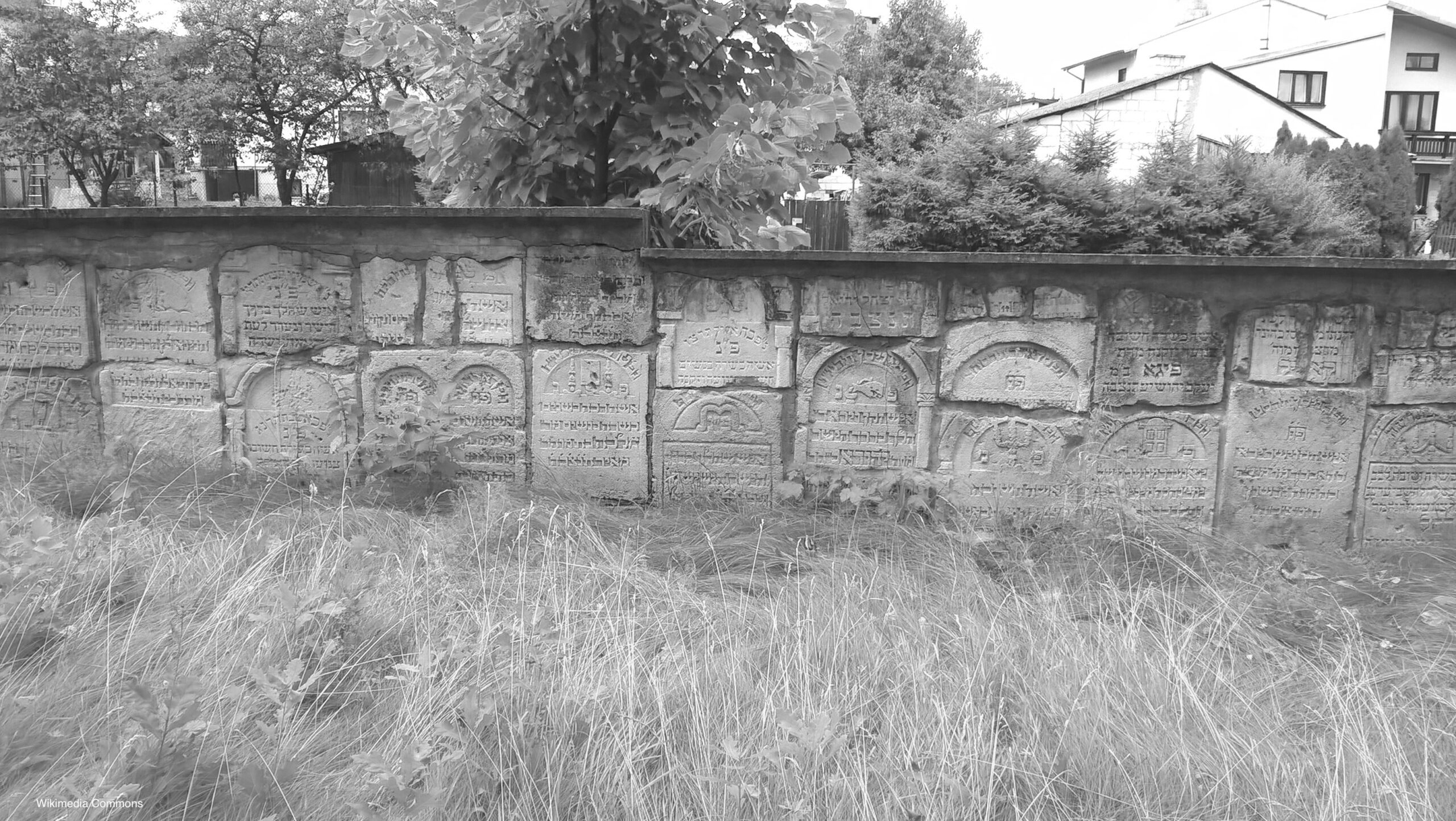 Photograph of the Jewish Cemetery in Tarnogród.