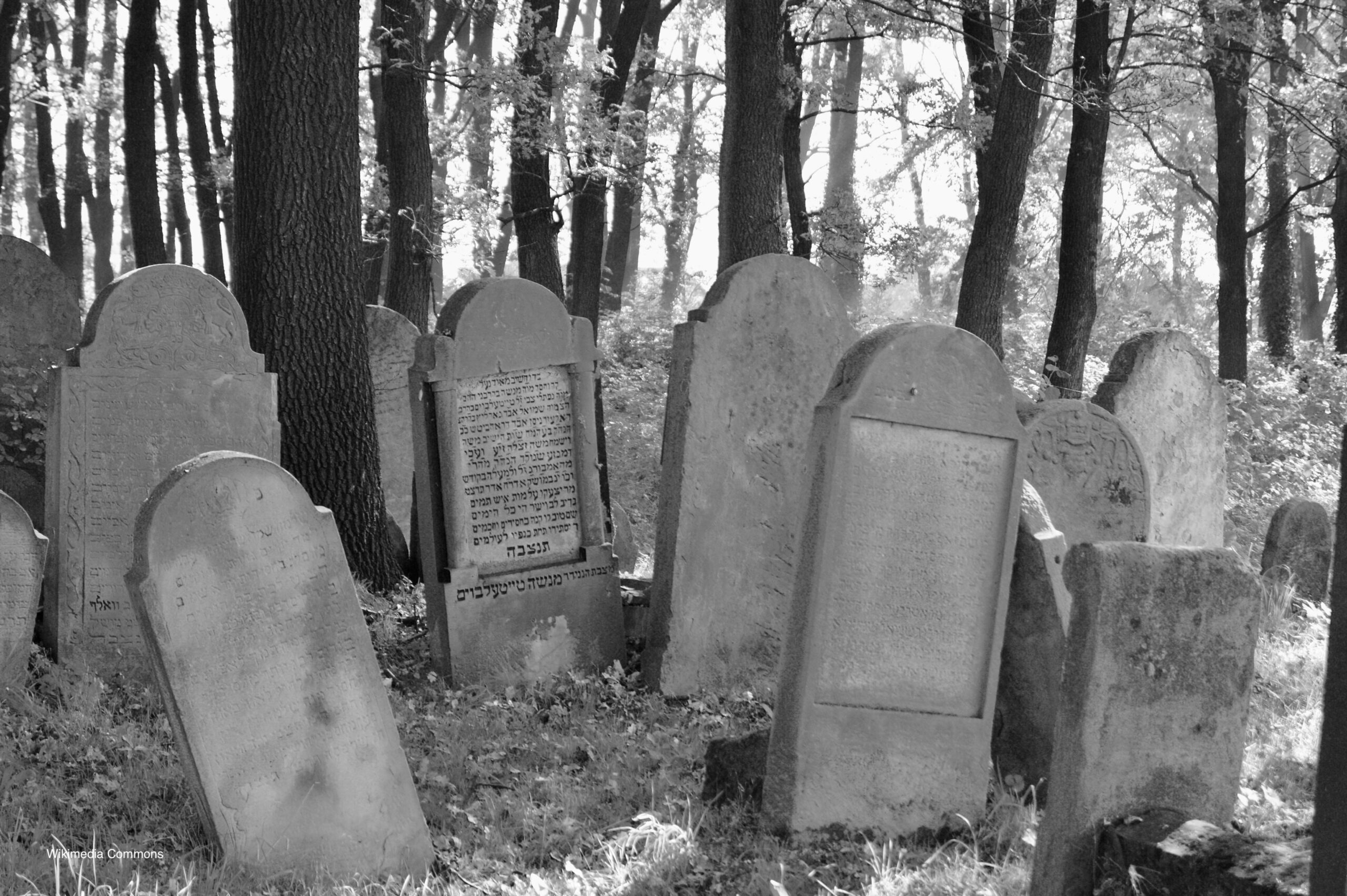Photograph of the New Jewish cemetery tombstones, Brzesko, Poland.